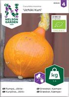 Pumpa Jätte-, 'Uchiki Kuri', Organic