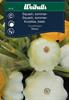 Squash sommar- 'Disco'