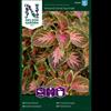 Palettblad 'Wizard Coral Sunrise'
