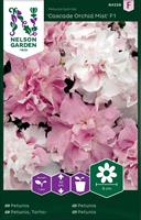 Petunia Cascade Orchid Mist F