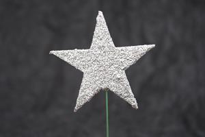 Glitterstjärna med tråd silver 24/fp