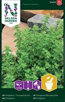 Oregano Kungsmynta