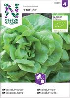 Sallat Huvud- 'Matilda' Organic