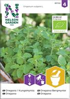 Oregano Kungsmynta, Organic
