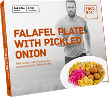 Falafel plate with pickled onion