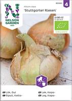Lök Gul 'Stuttgarter Riesen' Organic