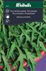 Rucola/Sandsenap