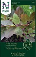 Trädgårdsmålla 'Rubra' Organic