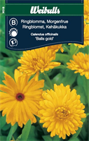 Ringblomma 'Balls Gold'