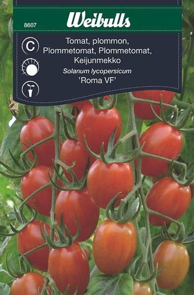 Tomat Plommon- 'Roma VF'