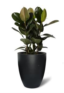 Självbev. kruka Next-up D47cm