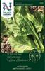 Mangold 'Perpetual Spinach'