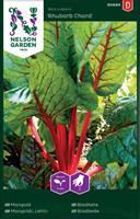 Mangold Rubarb Chard, röd