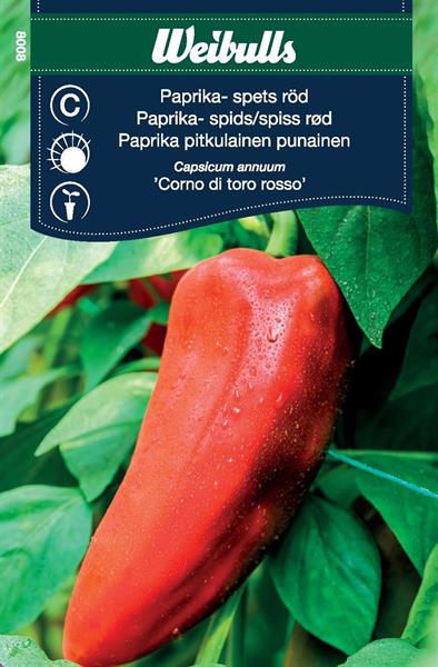 Paprika Spets- röd 'Corno Di Toro Rosso'