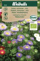 Aster sommar mix Krav Organic