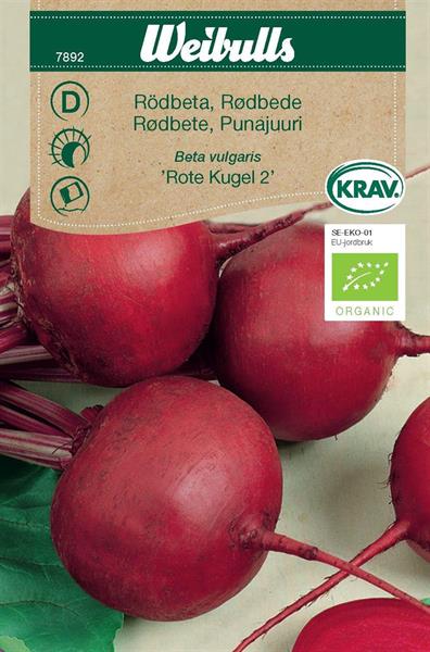 Rödbeta 'Rote Kugel 2' Krav Organic