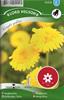 Ringblomma 'Kinglet Yellow'