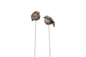 Fåglar rund brun/grå på tråd 24/fp