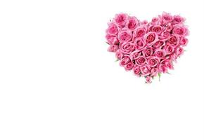 Oasis Kort Pink Rose Heart