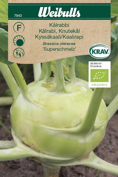 Kålrabbi 'Superschmelz' KRAV Organic