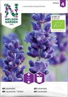 Lavendel organic