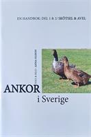 BOK - Ankor i Sverige / Skötsel & Avel
