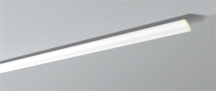 Z1250 Arstyl®  Taklister 2m