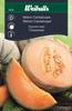Melon Cantaloupe