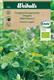 Oregano Kungsmynta Krav Organic