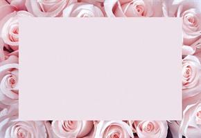 Oasis Kort rosa rosor med kant 50/fp