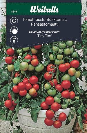 Tomat Körsbärs- 'Tiny Tim' busk