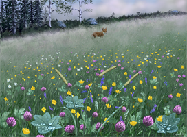 Midsommarnatt 70x50 cm