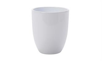 Kruka Daisy blankvit "Storpack" 36/fp