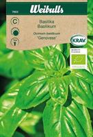 Basilika 'Genovese' Krav Organic