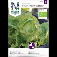 Sallat Isbergs- 'Grazer Krauthäuptel 2' Organic