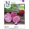 Rödbeta 'Chioggia' Organic