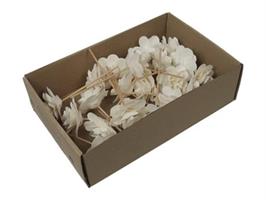 Träros på pinne D6cm 23/fp