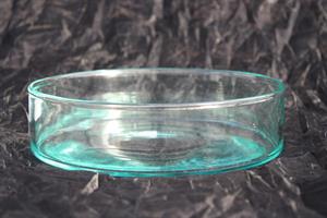 Glasskål cylinder D20cm H5cm 4/fp
