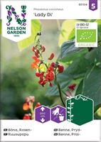 Böna Rosen- Lady Di, Organic