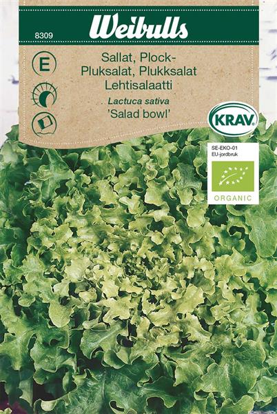 Sallat Plock- 'Salad Bowl' KRAV Organic