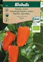 Paprika Snack- 'Flynn' Krav Organic