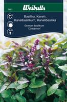 Basilika kanel cinnamon