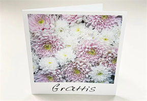 Kort SP 12,5x12,5cm Grattis kuvert 10/fp