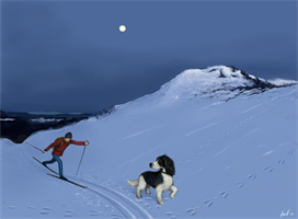 Skymning, 70x50 cm