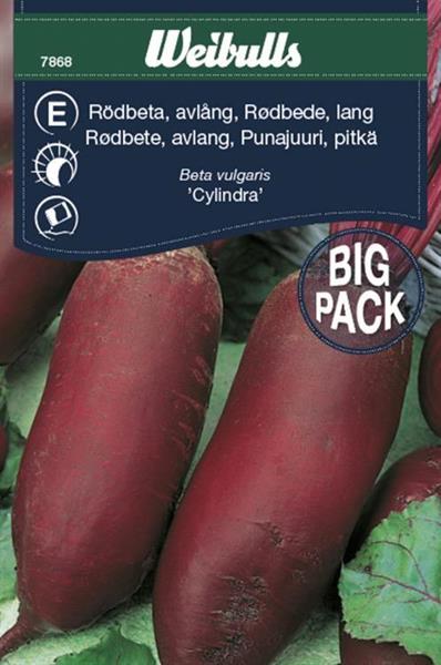 Rödbeta 'Cylindra' storpack