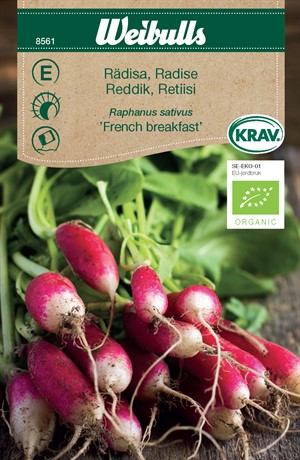 Rädisa 'French Breakfast' KRAV Organic