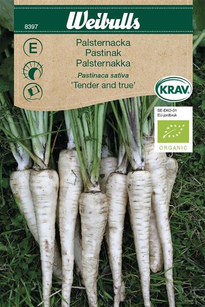 Palsternacka 'Tender and True' KRAV Organic