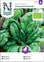 Spenat 'Vroeg Reuzenblad' Organic