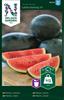 Melon Vatten- 'Little Darling' F1
