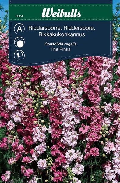 Riddarsporre Sommar- 'The Pinks'